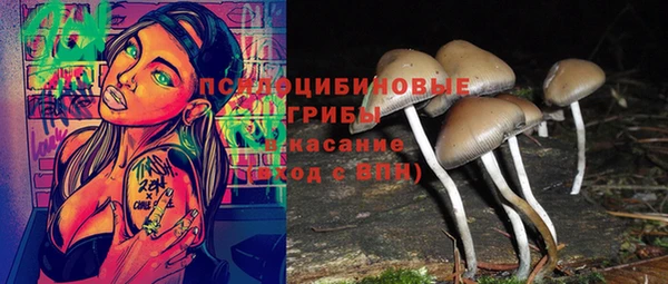 гидра Баксан