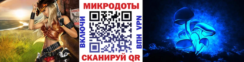 Псилоцибиновые грибы Psilocybine cubensis  Белогорск 