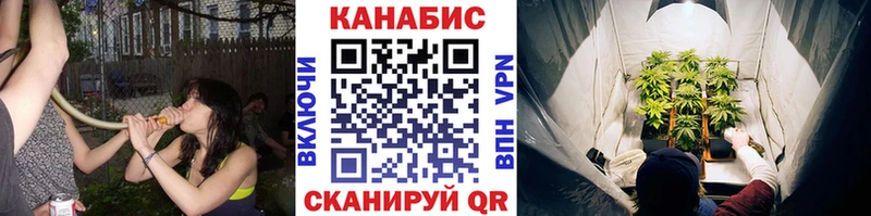 где найти   Белогорск  Конопля планчик 